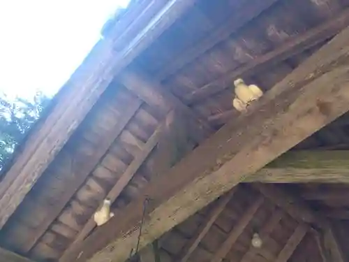 白山神社(福井県)