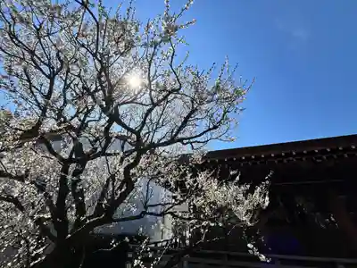 城南宮(京都府)