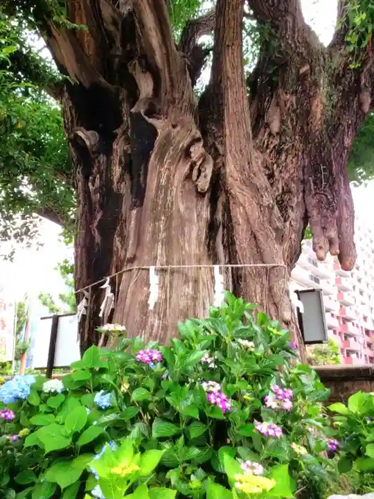 磐井神社(東京都)