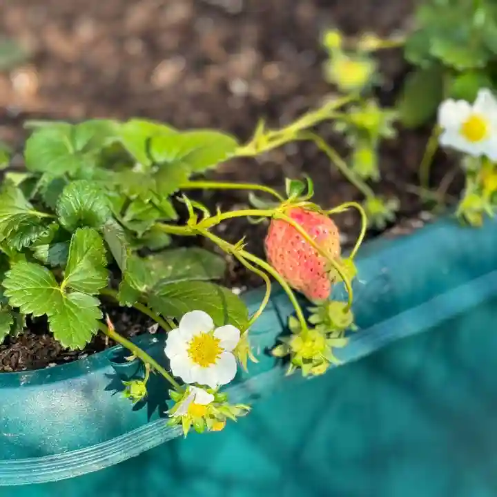 伊勢の国 四天王寺(三重県)