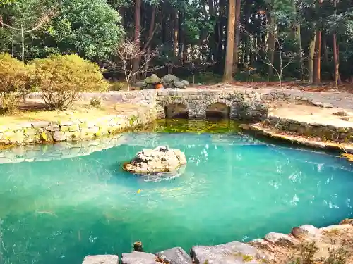大麻比古神社の庭園