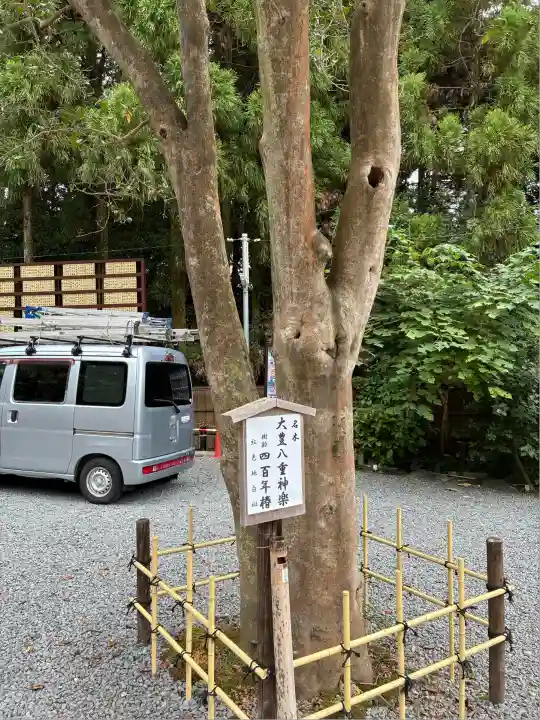 大豊神社(京都府)