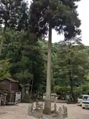 内々神社(愛知県)