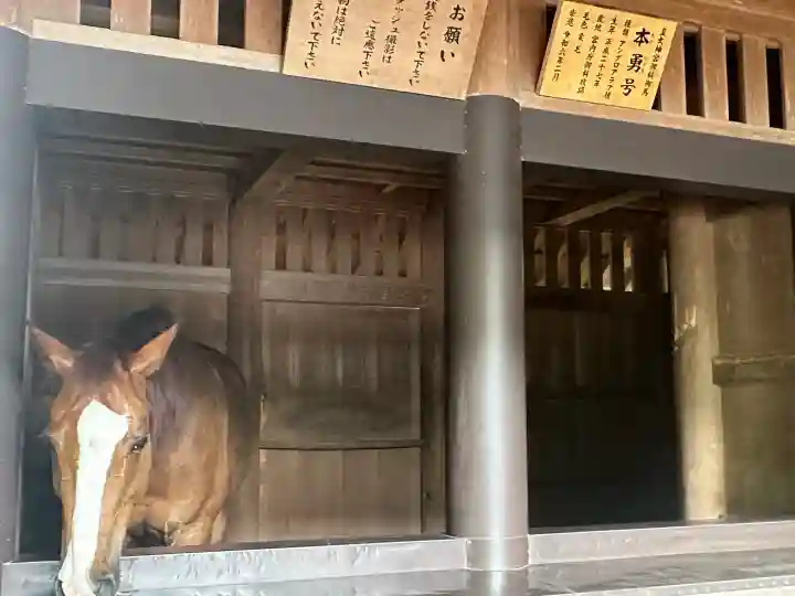 伊勢神宮内宮(皇大神宮)の{uncategorized: "未分類", other: "その他", undefined: "問題あり", building: "その他建物", grave: "お墓", sacred_gate: "鳥居", guardian: "狛犬", statue: "像", buddha: "仏像", history: "歴史", nature: "自然", garden: "庭園", animal: "動物", pagoda: "塔", temizu: "手水舎", mountain_gate: "山門・神門", sanctuary: "本殿・本堂", subordinate: "末社・摂社", art: "芸術", scenery: "景色", jizo: "地蔵", ema: "絵馬", goshuin: "御朱印", omikuji: "おみくじ", items: "授与品その他", amulet: "お守り", goshuincho: "御朱印帳", eats: "食事", festival: "お祭り", votive_dance: "神楽", shichigosan: "七五三参", wedding: "結婚式", experience: "体験その他", initially: "初詣", around: "周辺", anti_infection: "感染症対策"}