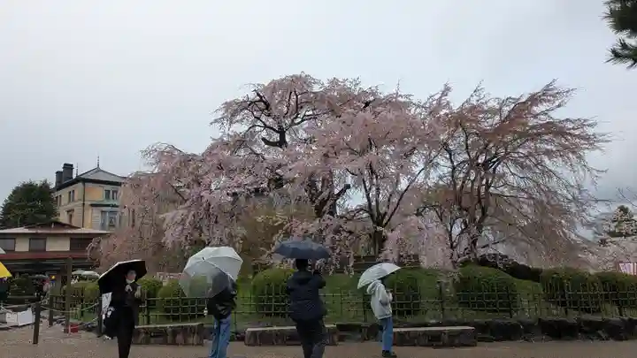 圓山稲荷(京都府)