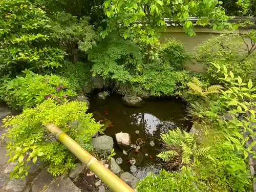 霊源院の庭園