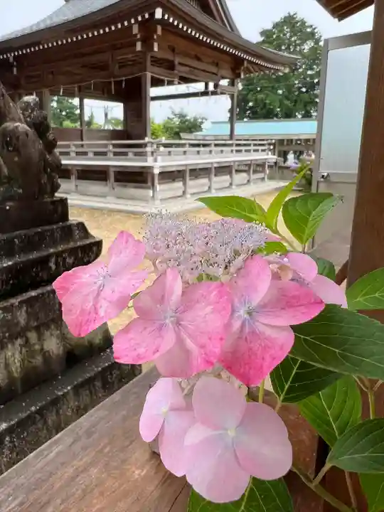 粟井神社の自然