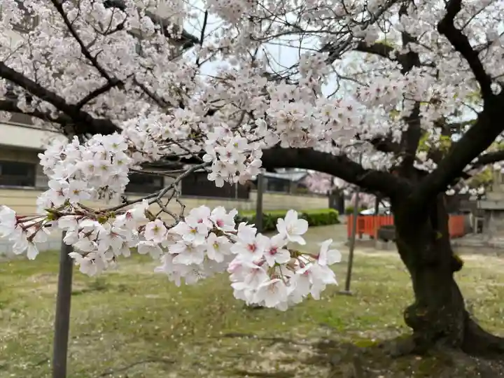 四天王寺庚申堂の自然