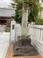 妙円寺(東京都)