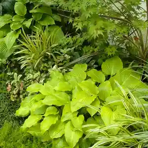 寿量山 速成寺(奈良県)(2023年07月03日(月) 18時59分29秒投稿)