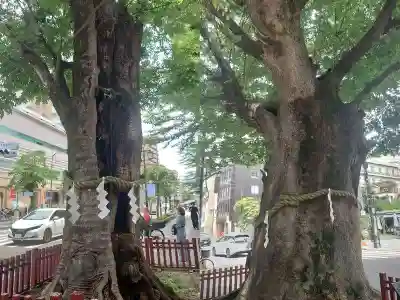大國魂神社(東京都)