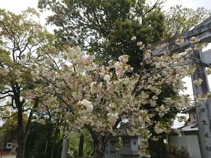 日吉神社の自然