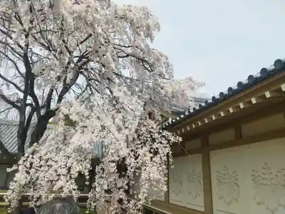 宝聚院(京都府)