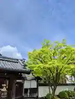 禅林寺(永観堂)(京都府)