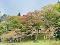 土津神社|こどもと出世の神さま(福島県)