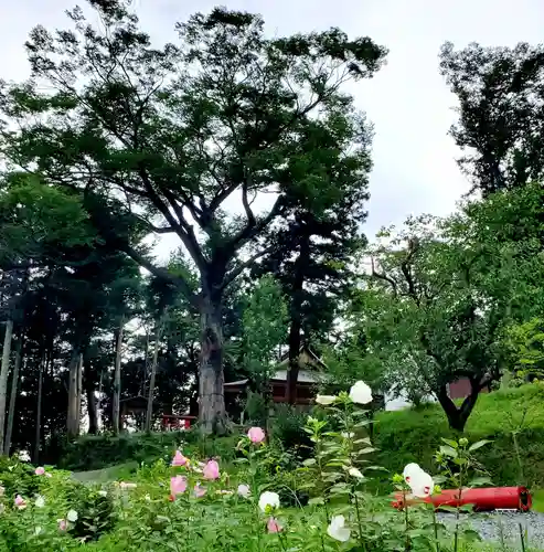 阿久津「田村神社」（郡山市阿久津町）旧社名：伊豆箱根三嶋三社の庭園