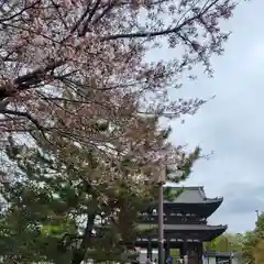 仁和寺(京都府)