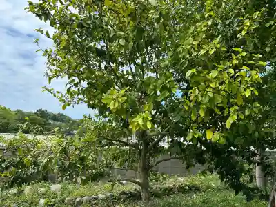 惠心院(恵心院)の{uncategorized: "未分類", other: "その他", undefined: "問題あり", building: "その他建物", grave: "お墓", sacred_gate: "鳥居", guardian: "狛犬", statue: "像", buddha: "仏像", history: "歴史", nature: "自然", garden: "庭園", animal: "動物", pagoda: "塔", temizu: "手水舎", mountain_gate: "山門・神門", sanctuary: "本殿・本堂", subordinate: "末社・摂社", art: "芸術", scenery: "景色", jizo: "地蔵", ema: "絵馬", goshuin: "御朱印", omikuji: "おみくじ", items: "授与品その他", amulet: "お守り", goshuincho: "御朱印帳", eats: "食事", festival: "お祭り", votive_dance: "神楽", shichigosan: "七五三参", wedding: "結婚式", experience: "体験その他", initially: "初詣", around: "周辺", anti_infection: "感染症対策"}