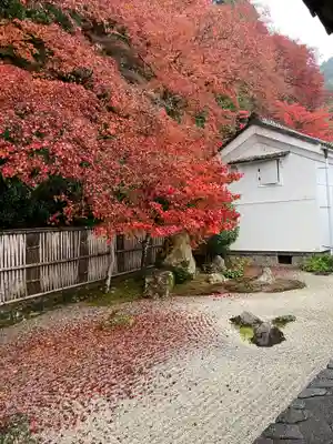 南禅寺(京都府)