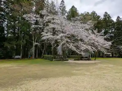 大斎原（熊野本宮大社旧社地）の{uncategorized: "未分類", other: "その他", undefined: "問題あり", building: "その他建物", grave: "お墓", sacred_gate: "鳥居", guardian: "狛犬", statue: "像", buddha: "仏像", history: "歴史", nature: "自然", garden: "庭園", animal: "動物", pagoda: "塔", temizu: "手水舎", mountain_gate: "山門・神門", sanctuary: "本殿・本堂", subordinate: "末社・摂社", art: "芸術", scenery: "景色", jizo: "地蔵", ema: "絵馬", goshuin: "御朱印", omikuji: "おみくじ", items: "授与品その他", amulet: "お守り", goshuincho: "御朱印帳", eats: "食事", festival: "お祭り", votive_dance: "神楽", shichigosan: "七五三参", wedding: "結婚式", experience: "体験その他", initially: "初詣", around: "周辺", anti_infection: "感染症対策"}