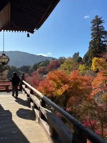 長谷寺(奈良県)