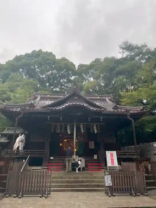 代々木八幡宮の{uncategorized: "未分類", other: "その他", undefined: "問題あり", building: "その他建物", grave: "お墓", sacred_gate: "鳥居", guardian: "狛犬", statue: "像", buddha: "仏像", history: "歴史", nature: "自然", garden: "庭園", animal: "動物", pagoda: "塔", temizu: "手水舎", mountain_gate: "山門・神門", sanctuary: "本殿・本堂", subordinate: "末社・摂社", art: "芸術", scenery: "景色", jizo: "地蔵", ema: "絵馬", goshuin: "御朱印", omikuji: "おみくじ", items: "授与品その他", amulet: "お守り", goshuincho: "御朱印帳", eats: "食事", festival: "お祭り", votive_dance: "神楽", shichigosan: "七五三参", wedding: "結婚式", experience: "体験その他", initially: "初詣", around: "周辺", anti_infection: "感染症対策"}