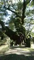 生王部神社の自然