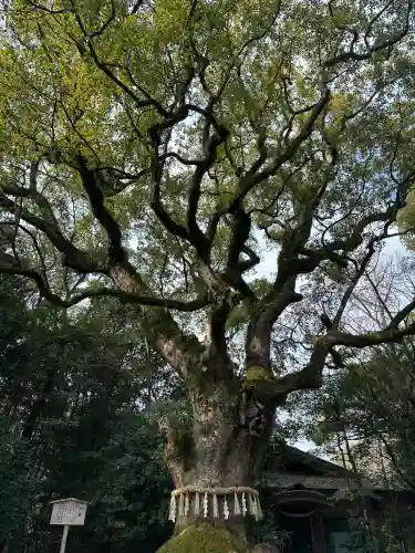 熱田神宮(愛知県)