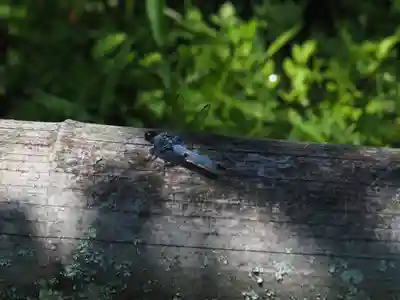 石山寺(滋賀県)