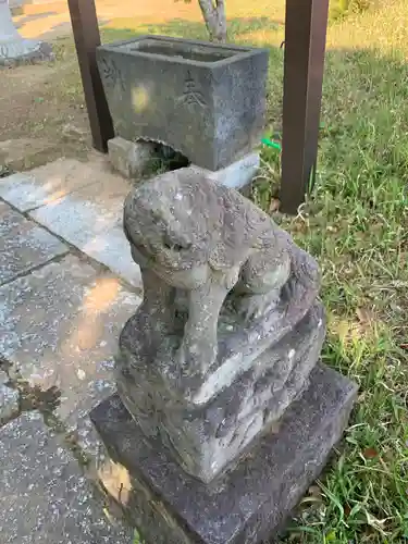 椎名神社の狛犬