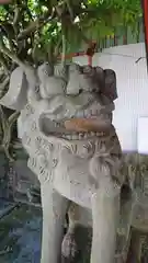 大牟田神社の狛犬