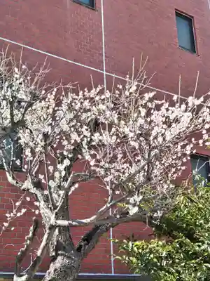 相模原氷川神社(神奈川県)