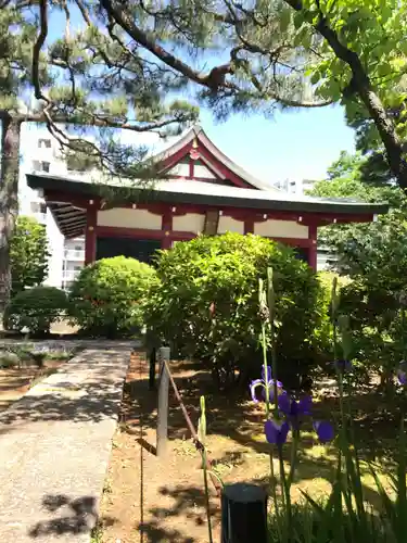 善明寺の庭園