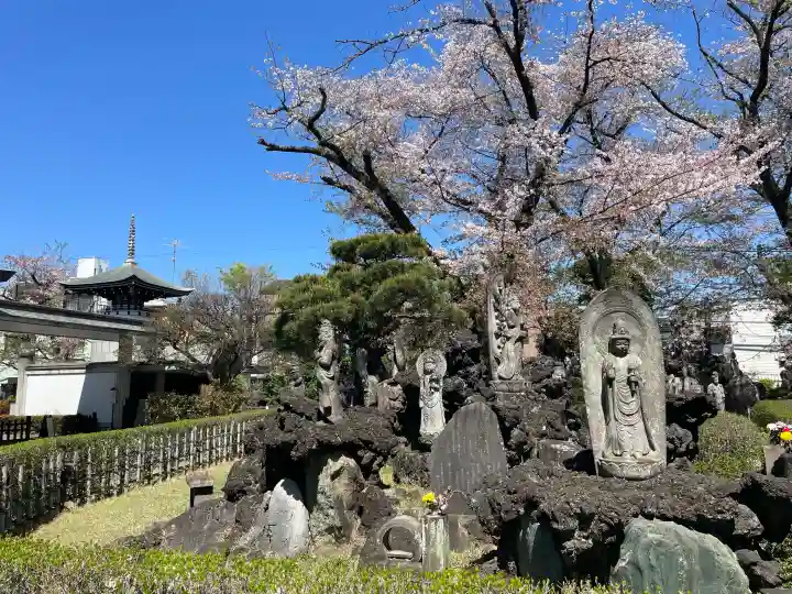 明治寺の{uncategorized: "未分類", other: "その他", undefined: "問題あり", building: "その他建物", grave: "お墓", sacred_gate: "鳥居", guardian: "狛犬", statue: "像", buddha: "仏像", history: "歴史", nature: "自然", garden: "庭園", animal: "動物", pagoda: "塔", temizu: "手水舎", mountain_gate: "山門・神門", sanctuary: "本殿・本堂", subordinate: "末社・摂社", art: "芸術", scenery: "景色", jizo: "地蔵", ema: "絵馬", goshuin: "御朱印", omikuji: "おみくじ", items: "授与品その他", amulet: "お守り", goshuincho: "御朱印帳", eats: "食事", festival: "お祭り", votive_dance: "神楽", shichigosan: "七五三参", wedding: "結婚式", experience: "体験その他", initially: "初詣", around: "周辺", anti_infection: "感染症対策"}