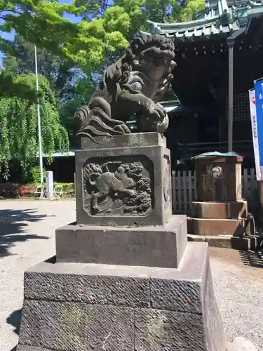 代々木八幡宮の狛犬