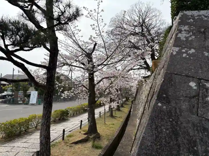 くろ谷 金戒光明寺の{uncategorized: "未分類", other: "その他", undefined: "問題あり", building: "その他建物", grave: "お墓", sacred_gate: "鳥居", guardian: "狛犬", statue: "像", buddha: "仏像", history: "歴史", nature: "自然", garden: "庭園", animal: "動物", pagoda: "塔", temizu: "手水舎", mountain_gate: "山門・神門", sanctuary: "本殿・本堂", subordinate: "末社・摂社", art: "芸術", scenery: "景色", jizo: "地蔵", ema: "絵馬", goshuin: "御朱印", omikuji: "おみくじ", items: "授与品その他", amulet: "お守り", goshuincho: "御朱印帳", eats: "食事", festival: "お祭り", votive_dance: "神楽", shichigosan: "七五三参", wedding: "結婚式", experience: "体験その他", initially: "初詣", around: "周辺", anti_infection: "感染症対策"}