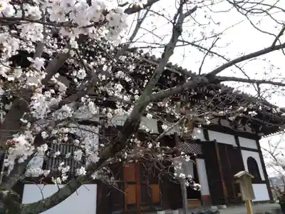 くろ谷 金戒光明寺(京都府)