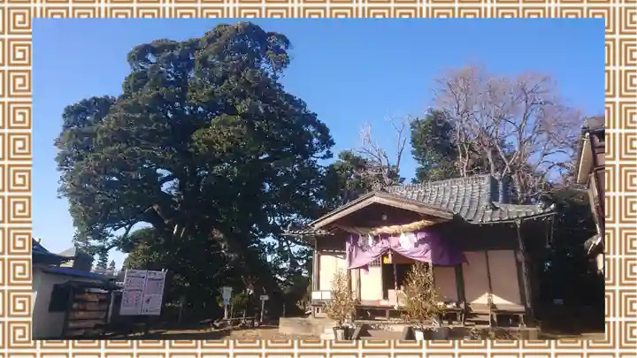 九重神社(埼玉県)