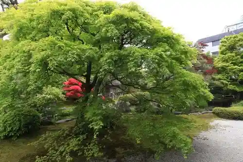 正傳（正伝）永源院(京都府)