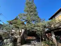 円光寺(滋賀県)