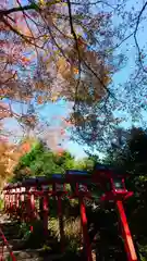 貴船神社の自然