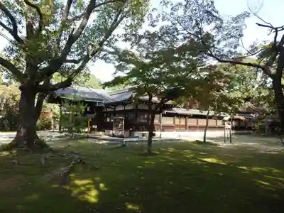 新日吉神宮の本殿・本堂