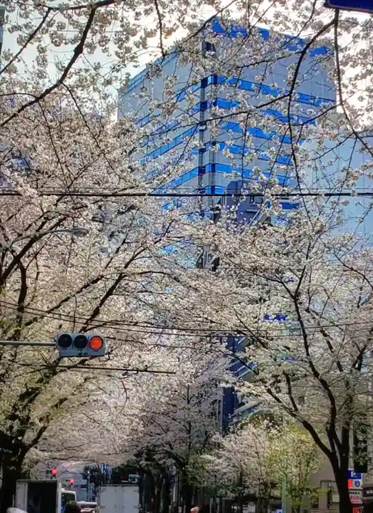 新井薬師(梅照院)(東京都)