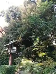 東京大神宮の建物その他