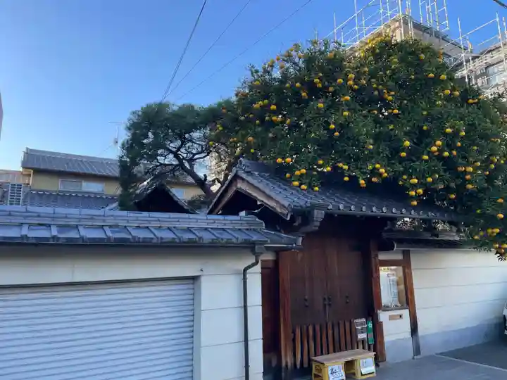 安養寺(京都府)