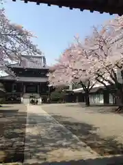 浄土宗南命山善光寺の建物その他