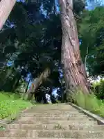 熊野神社の自然