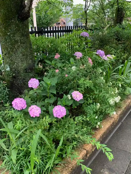 高麗神社(埼玉県)