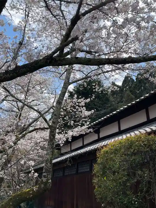 勝持寺(花の寺)(京都府)