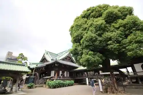題経寺（柴又帝釈天）(東京都)